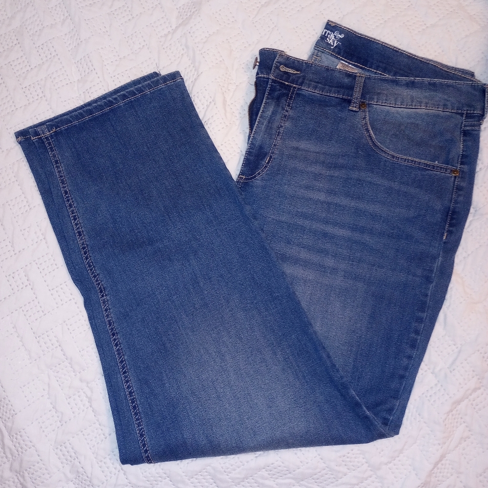 Terra & Sky straight cut Women's Blue Denim Jeans